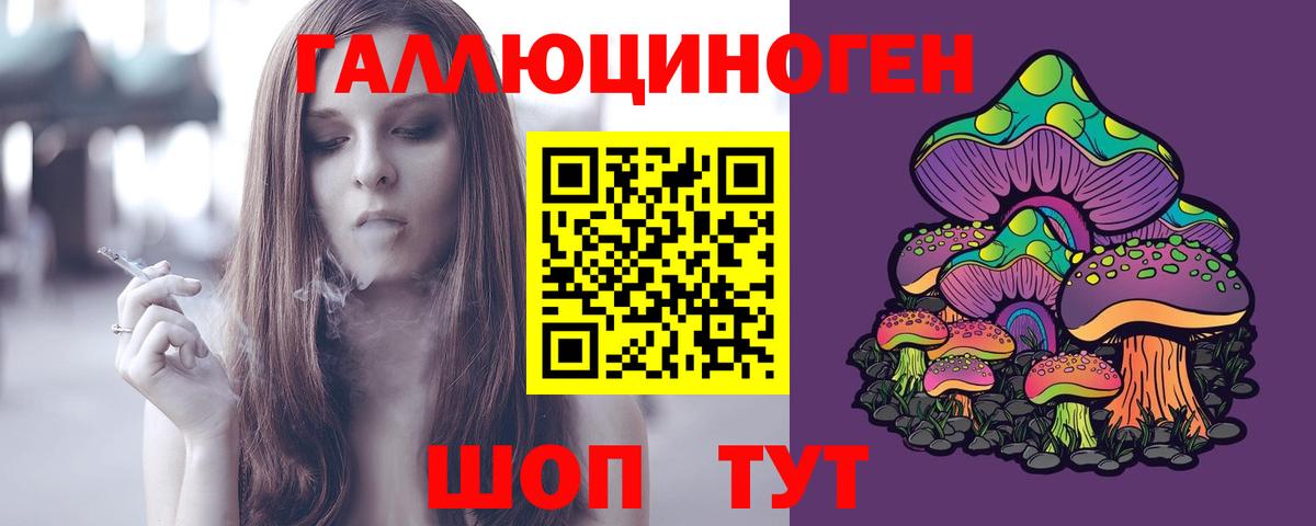 купить   Псилоцибиновые грибы Magic Shrooms  Вход с VPN  Борзя 